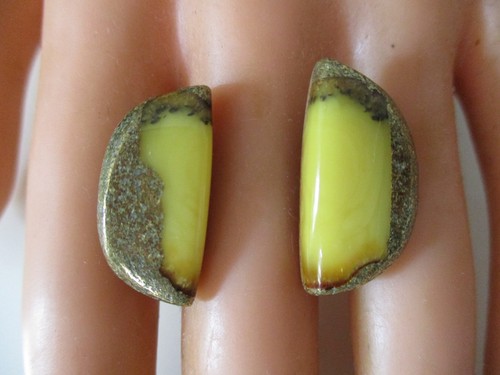 Bernstein ohrringe ohrstecker - bernstein,